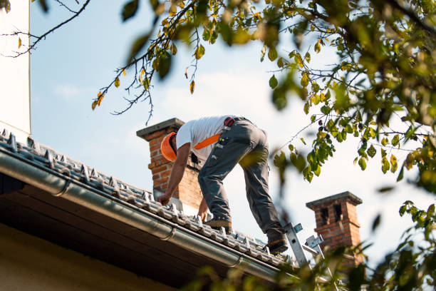 Best Flat Roof Repair Services  in Butler, OH